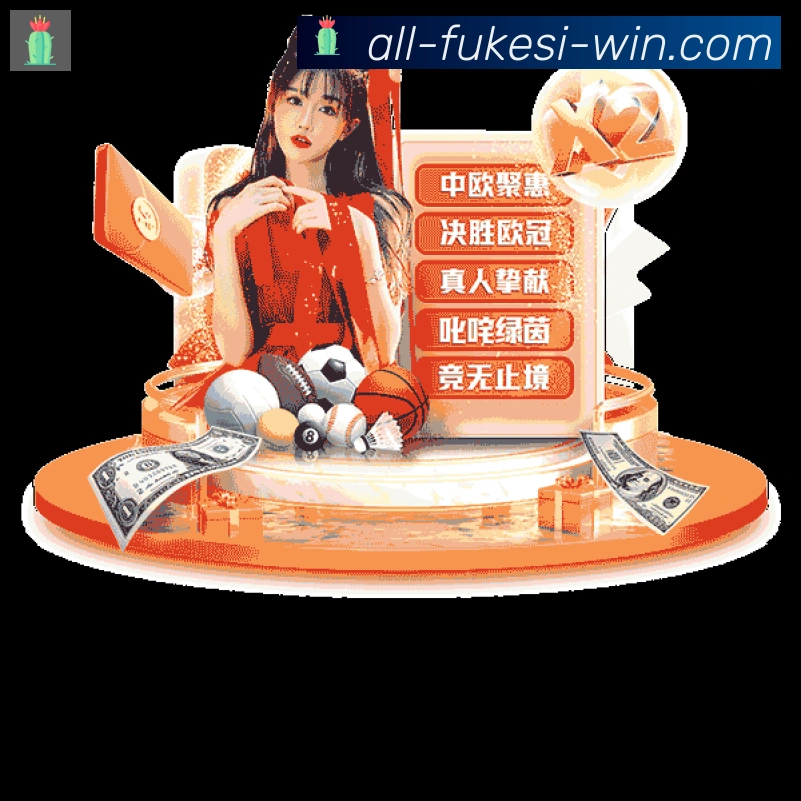 未来规划